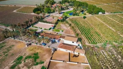 Rustic property in Novelda photo 62