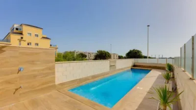 Chalet in Guardamar del Segura photo 49