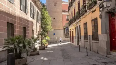 Apartment in Palacio photo 36