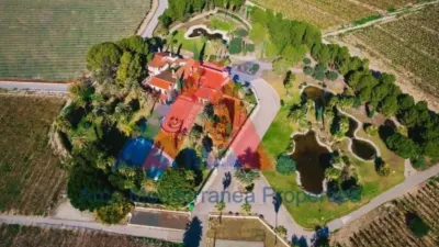 Rustic property in Novelda photo 59