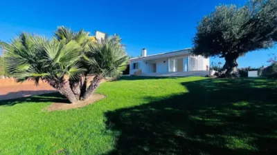 Chalet in Monforte del Cid photo 3