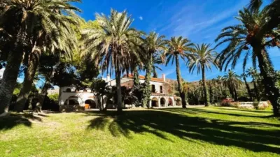 Rustic property in Novelda photo 5