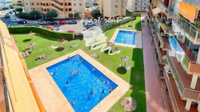 Apartment in Santa Margarida photo 4