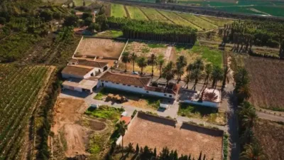 Rustic property in Novelda photo 63