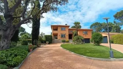 Chalet in La Raya del Palancar-Guadamonte photo 69