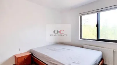 Apartment in Murcia City photo 5