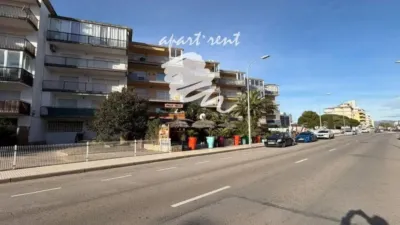 Apartment in Santa Margarida photo 50