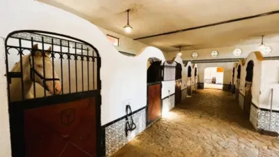 Rustic property in Novelda photo 35