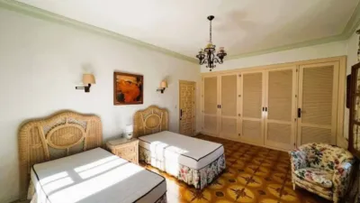 Rustic property in Novelda photo 47