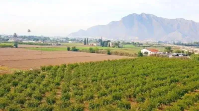 Rustic property in Callosa de Segura photo 40