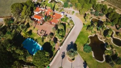 Rustic property in Novelda photo 7