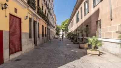 Apartment in Palacio photo 38