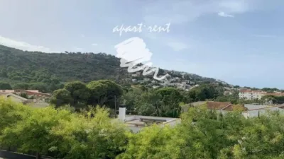 Apartment in Els Grecs-Mas Oliva photo 4