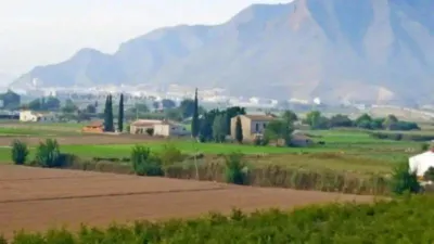 Rustic property in Callosa de Segura photo 38