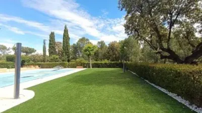 Chalet in La Raya del Palancar-Guadamonte photo 62