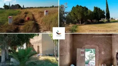 Rustic property in Callosa de Segura photo 16