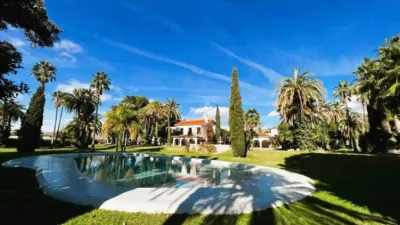 Rustic property in Novelda photo 23