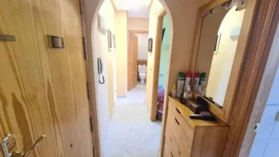 Apartment in Guardamar del Segura photo 20