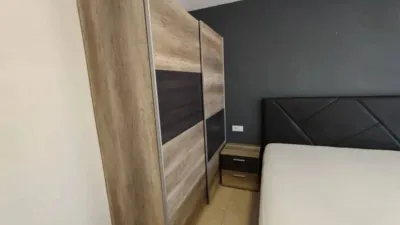 Apartment in Olot photo 16