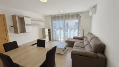 Apartment in Olot photo 5