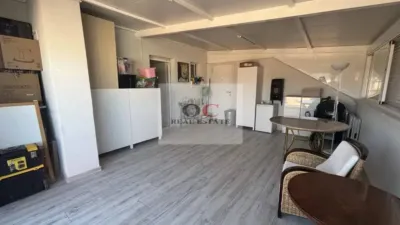 Apartment in Murcia Capital photo 12