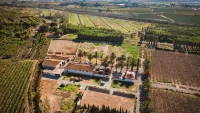 Rustic property in Novelda photo 65