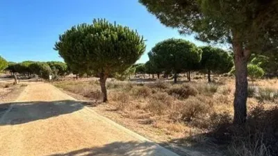 Top-floor apartment in Isla Cristina photo 23