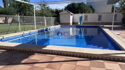 Chalet in Orihuela photo 3