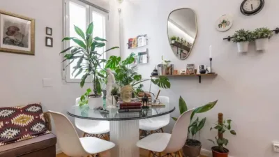 Apartment in Palacio photo 6