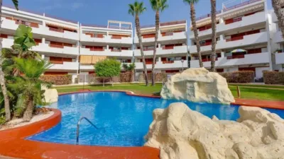 Apartment in Orihuela photo 32