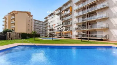 Apartment in Santa Margarida photo 8