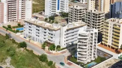 Apartment in Guardamar del Segura photo 6