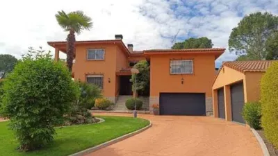 Chalet in La Raya del Palancar-Guadamonte photo 49