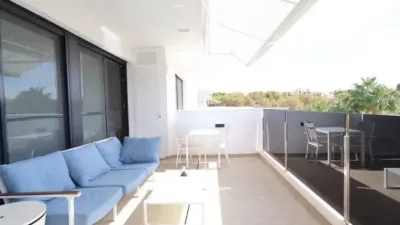 Apartment in Orihuela photo 14