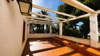 Rustic property in Novelda photo 52