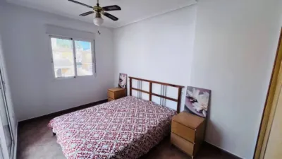 Chalet in Algorfa photo 10
