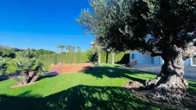 Chalet in Monforte del Cid photo 11