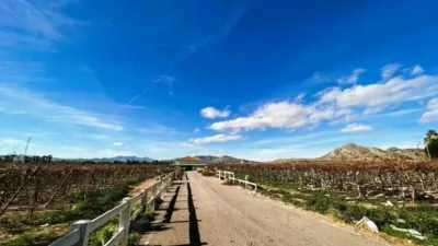 Rustic property in Novelda photo 32