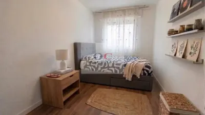 Apartment in Murcia City photo 3