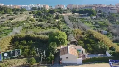 Apartment in Guardamar del Segura photo 38