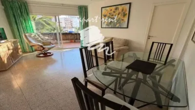 Apartment in Santa Margarida photo 67