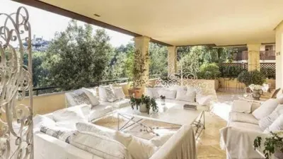 Apartment in Barrio San Roque photo 2