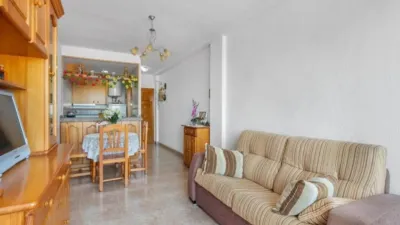Pis – Torrevieja - Més