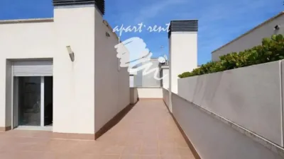 Apartment in Els Grecs-Mas Oliva photo 25