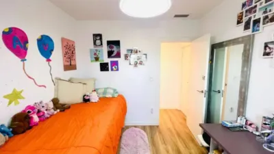 Attic in University Area photo 16