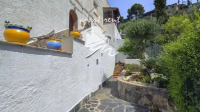 Apartment in Els Grecs-Mas Oliva photo 33