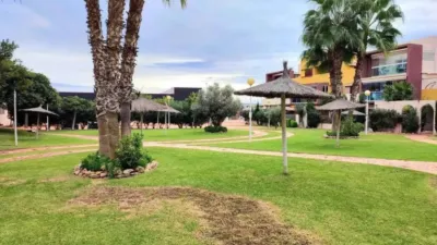 Apartment in Orihuela photo 31