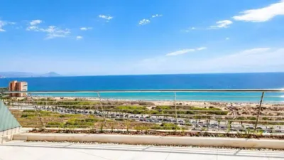 Apartment in Los Arenales del Sol photo 6