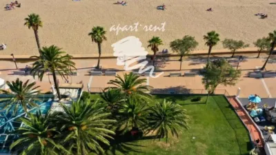 Apartment in Santa Margarida photo 23