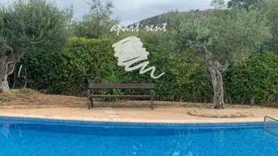 Apartment in Els Grecs-Mas Oliva photo 26